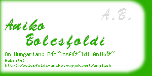 aniko bolcsfoldi business card